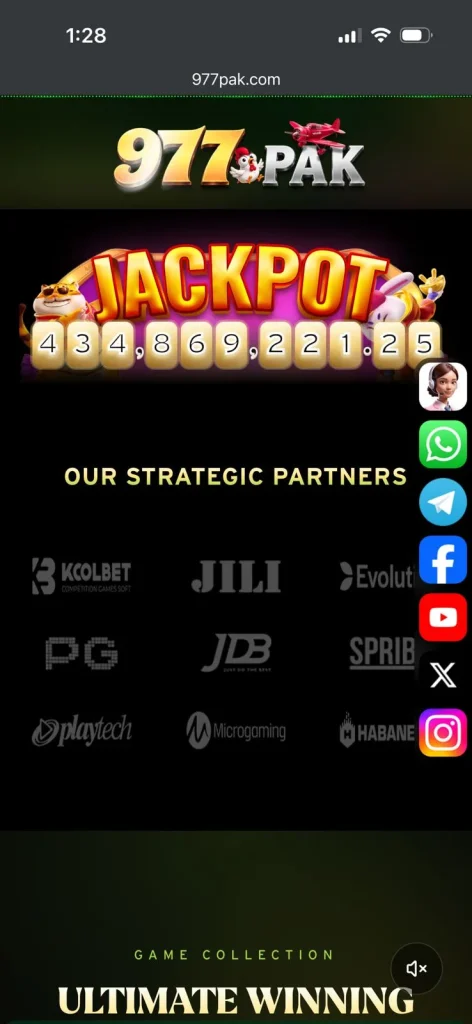 977pak Banner 9